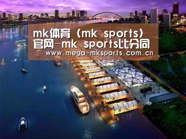 案例展示八