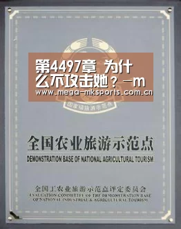 mk体育入口