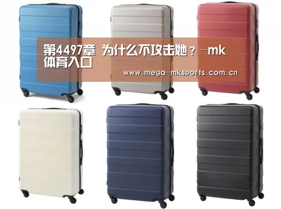 mk体育入口